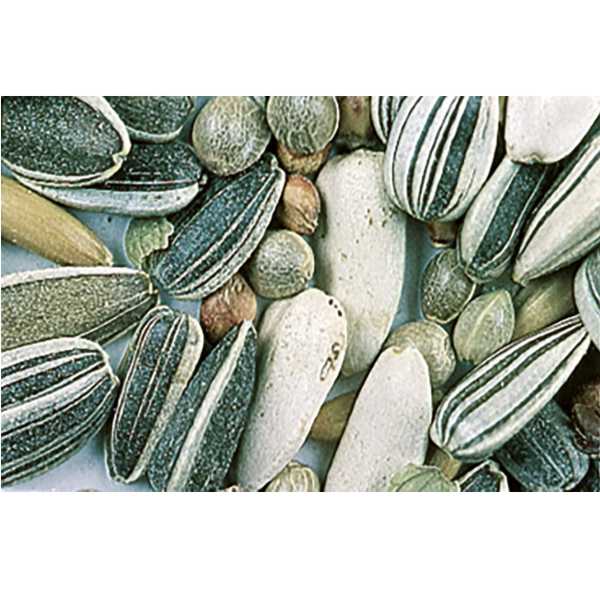 Schweizer-détail-mélange-oiseaux-B