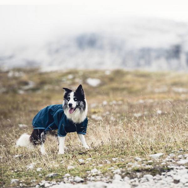 Hurtta-chill-stopper-face-bleu