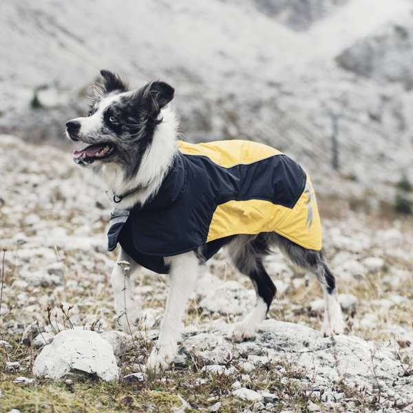 Hurtta-ultimate-warmer-face-jaune