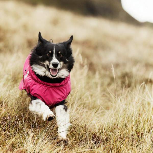 hurtta_summitparka-face-cerise