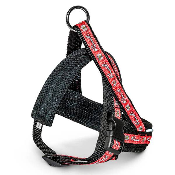 Harnais-norvegien-swissness-rouge-412.001.SR