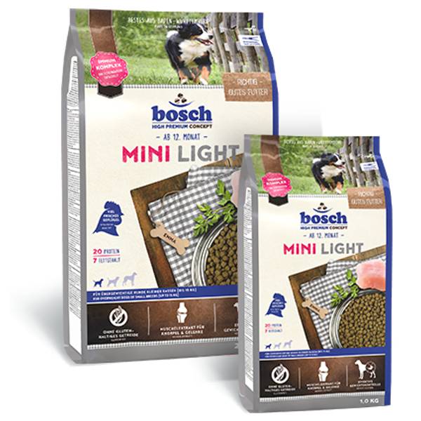 Bosch-light-mini-groupe