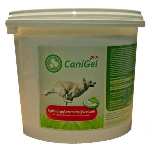 Cani-Gel-plus-grand