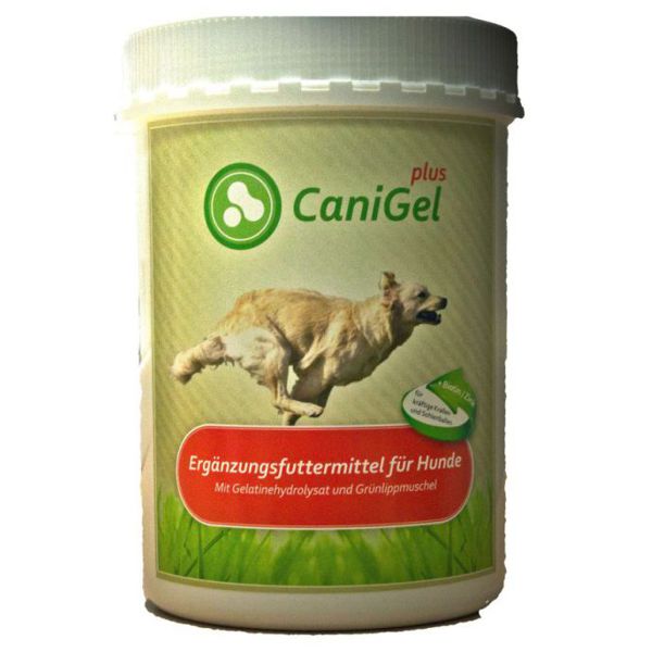 Cani-Gel-plus-petit