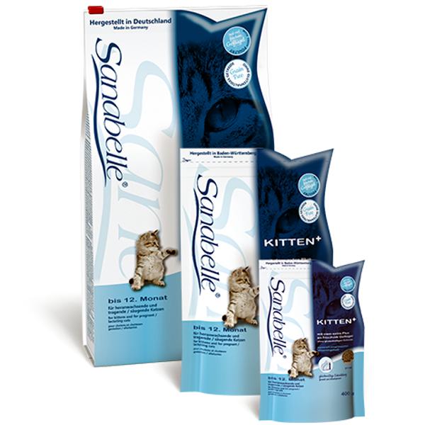 Sanabelle-kitten-groupe