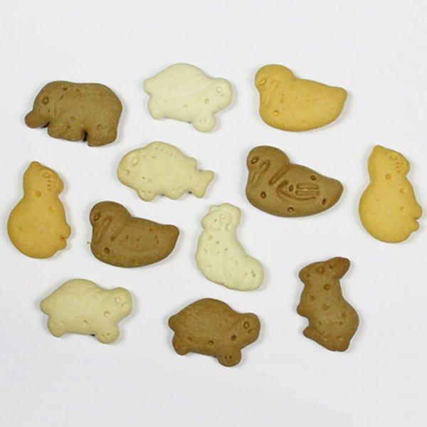 Malt-et-Vanille-détail-44673